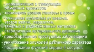 Лечебные свойства морозника