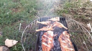Морской окунь на мангале