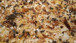 Обсушка забруса после откачки мёда