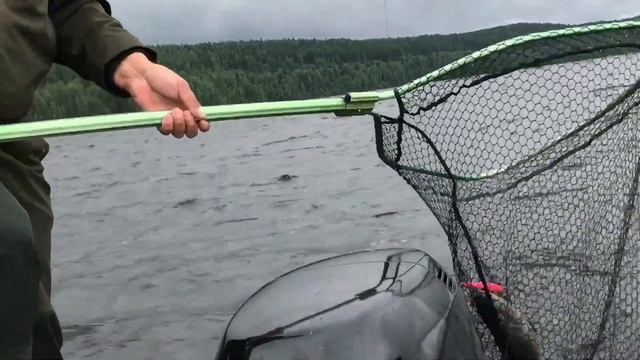 Озеро Паанаярви и река Оланга смотреть онлайн