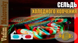 3D stereo red-cyan Сельдь холодного копчения или как закоптить селёдку. Мальковский Вадим