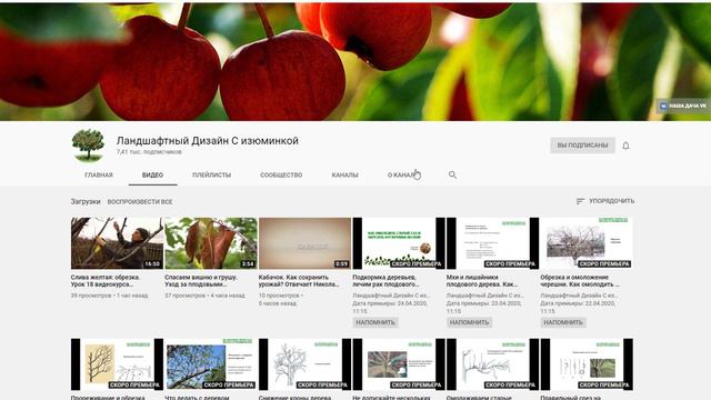 Спонсорство канала: это еще один способ сказать нам спасибо за наш труд. смотреть онлайн