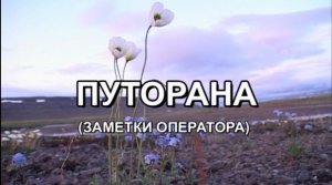 2009 год. Путешествие по плато Путорана. Автор Ерохин Евгений