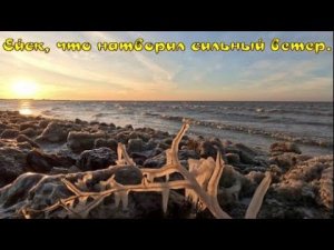 Ейск, что натворил сильный ветер. Ейская коса. Азовское море. Центральный пляж 2022.