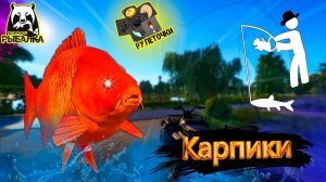 РР4/ рыбалка для души, ловим как универсал, общаемся 1.02.23