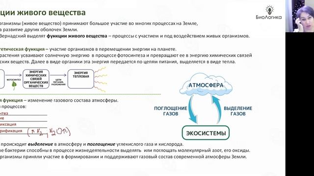 Лекция 29  Биосфера