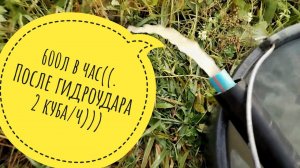 Абиссинская скважина со средством для мытья посуды.