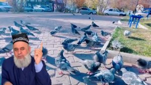 РОХХОИ ДУРУСТИ ХАМХОБАГӢ КАРДАН БО ЗАН ХОЧИ МИРЗО 2021