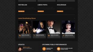 Magician Responsive WordPress Theme by WT Website Template - 52473