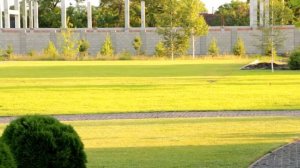 Газон своими руками без лишних трат