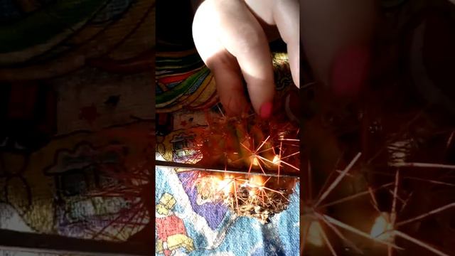 Реанимирование кактуса