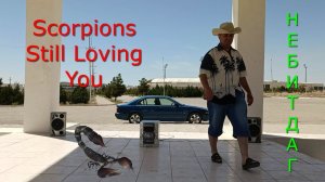 Небит-Даг. Туркменистан! Scorpions-Still Loving You !