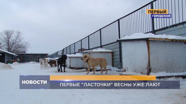 СПЕЦАВТОХОЗЯЙСТВО. В ПРЕДДВЕРИИ ВЕСНЫ