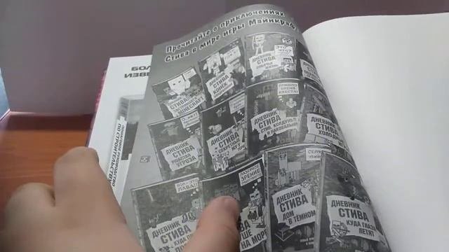 Обзор 5 книги по майнкрафту/дневник стива