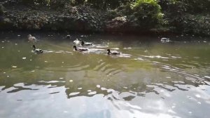 Дюссельдорф |ТОП-10 достопримечательностей Дюссельдорфа | Что посмотреть в  Дюссельдорфе (2023)