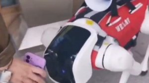 Робот собака всегда на страже))