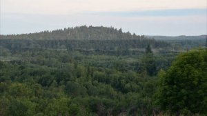 Новоржевский район