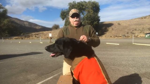 Sizing Chart 2020 Video смотреть онлайн