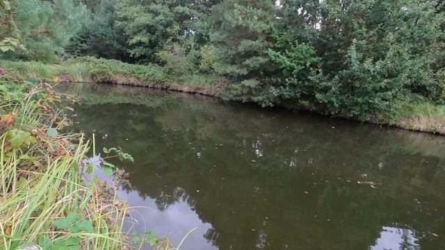 Перша осіння РИБАЛКА НА ЩУКУ. Щука на силікон. Судак на силікон. Карп на силікон. НАЙКРАЩА ПРИМАНКА смотреть онлайн