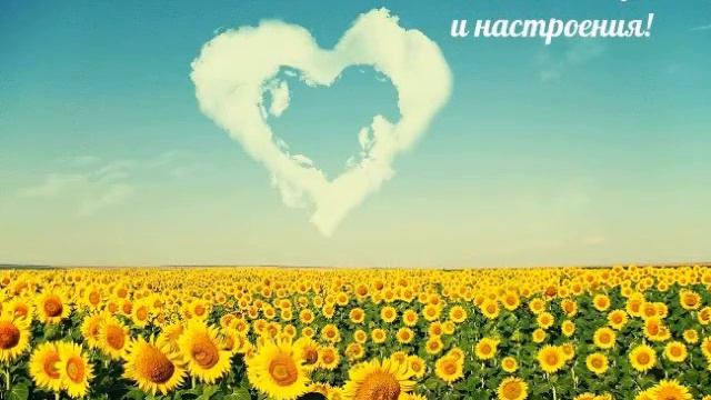Замечательного воскресенья! Чудесного дня!🌷🌹🌼 смотреть онлайн
