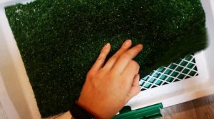 Лоток-туалет для собак с травкой впечатления от покупки.