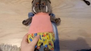 делаю одежду для басиков и лили ????