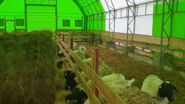 Первородка порывы к схватка часть 0
