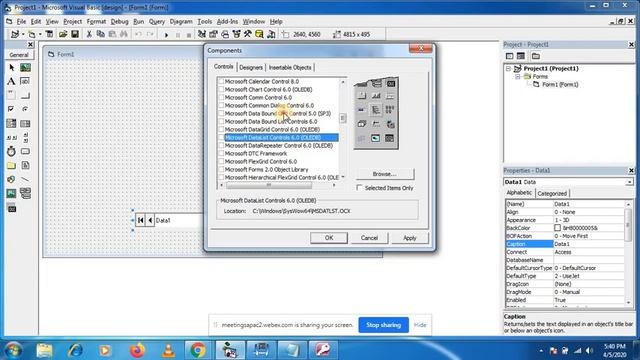 DAO Control in Visual Basic 6.0 | Computer Based Project