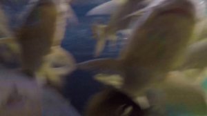 Национальный парк Кхао Чамао, Районг, Таиланд ??