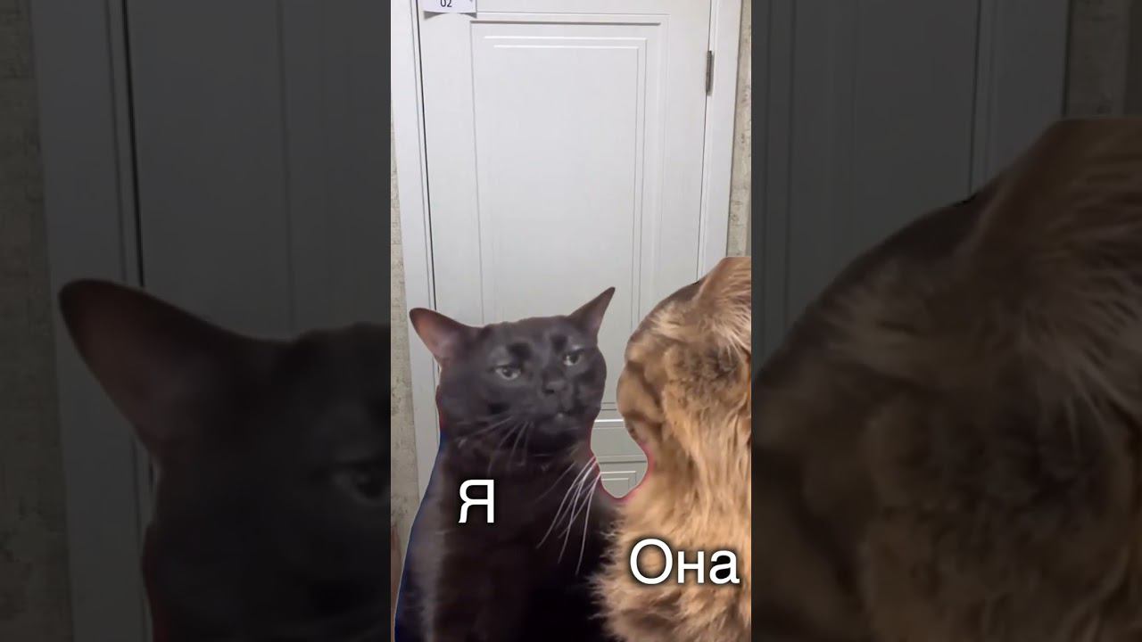 О чем поговорим? #психолог #можновсе #свобода #reels #девушки