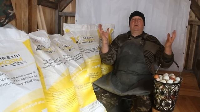 СОБИРАЮ ЯЙЦО ВЁДРАМИ !  СМОТРИ ,УЧИСЬ, ПРИМЕНЯЙ !
