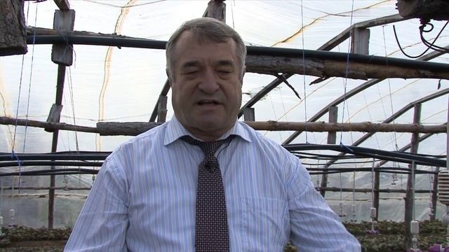 Осенняя прикопка саженцев. Часть 1. НПО «Сады России» смотреть онлайн