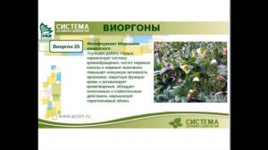 25 Виоргон Морозник кавказкий Очистка от шлаков и многое другое