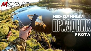 Спиннинговая ловля ПЛОТВЫ и ЕЛЬЦА на мормышку. Отличный КЛЁВ. МОРМЫШИНГ НАНОДЖИГ УЛЬТРАЛАЙТ