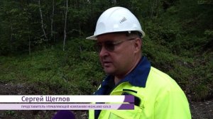 Чёрные копатели снова взялись за кирки