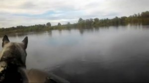 Nordik330 и Yamaha 9.9 G