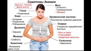 Почему мерзнут ноги