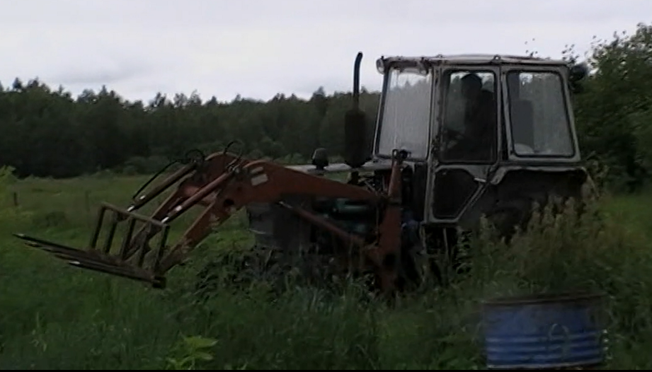 Сделали вилы на трактор ЮМЗ для переноса сена и деревьев