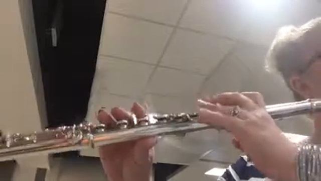 Flute FS смотреть онлайн