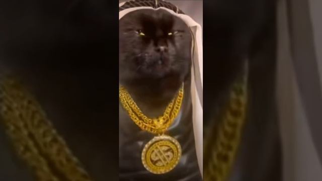 ПРЕДСТАРТ игры