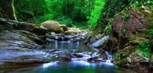 Звук горной реки.. Журчание речки.. Лесная речка.. Звуки природы и реки.. Лечебные звуки.. Релакс..