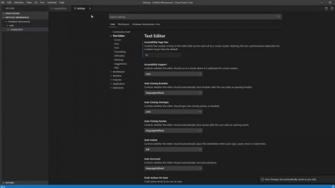 Установка и начало работы в Visual Studio Code