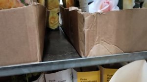 ?УРА! Началась продажа роз. Краткий обзор из Леруа Мерлен.