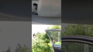 Как снять ручку у Фольцваген Тигуан