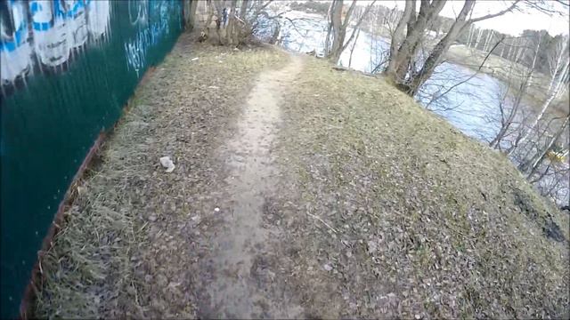 Сбежавший пеликан. Зоопарк Лимпопо. Нижний Новгород. смотреть онлайн