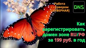 Как зарегистрировать красивый домен второго уровня в зоне RU всего за 199 рублей в год