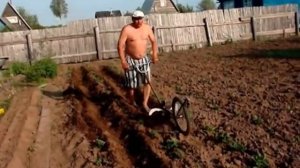 Окучиваем картофель с помощью мотолебёдки