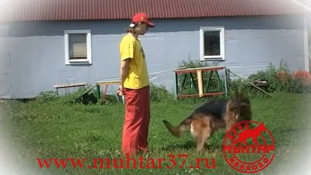 Собачий вальс смотреть онлайн