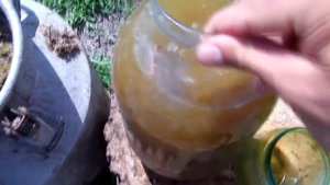 САМАЯ ЛУЧШАЯ ПОДКОРМКА ДЛЯ РАССАДЫ ОГУРЦОВ И ТОМАТОВ ПЕРЕД ВЫСАДКОЙ В ОТКРЫТЫЙ ГРУНТ