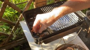 Скумбрия горячего копчения! Коптим в Weber Go-Anywhere без использования дополнительных аксессуаров